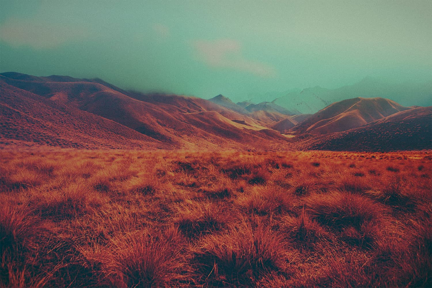 Header background